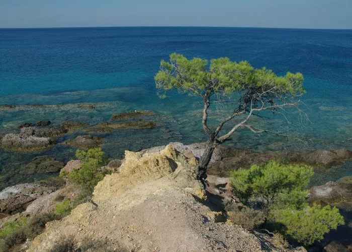 Accommodation in Prinos Thassos Greece